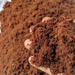 Cocopeat - Image 2